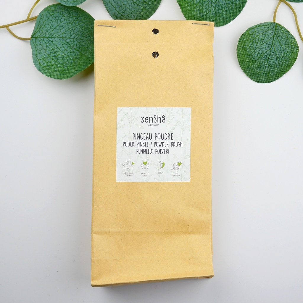 Pinceau Poudre