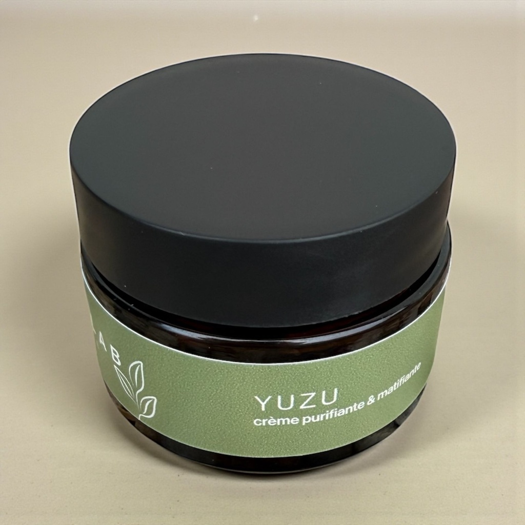Yuzu3-couv-site.png