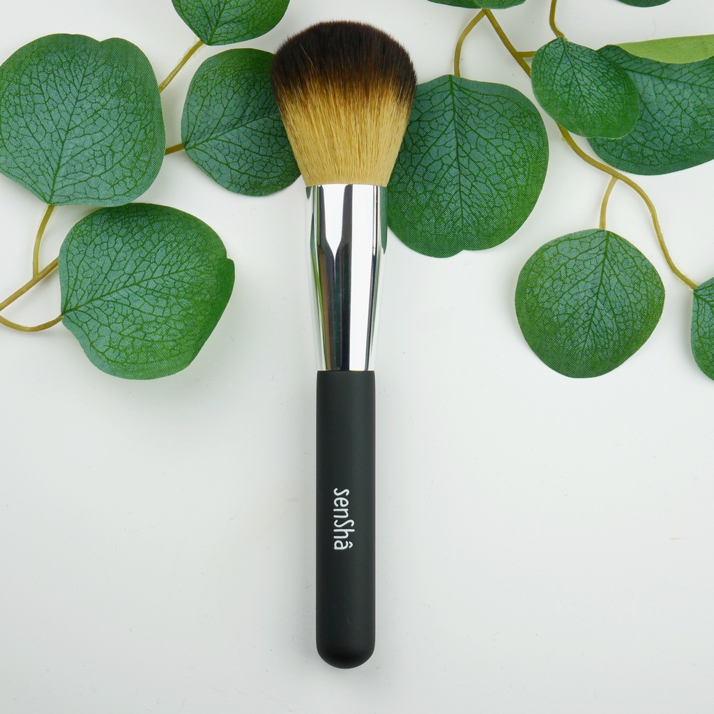 Pinceau Poudre fin de série