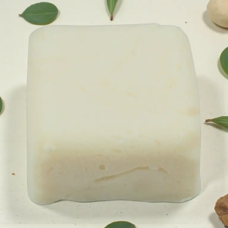 Gel Douche solide Sport pack liquidation