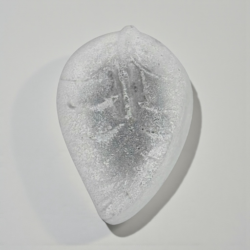 Eco Cleanser Nettoyant & démaquillant solide 50g